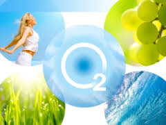 공기와 자연 환경이 일상 컨디션에 미치는 역할